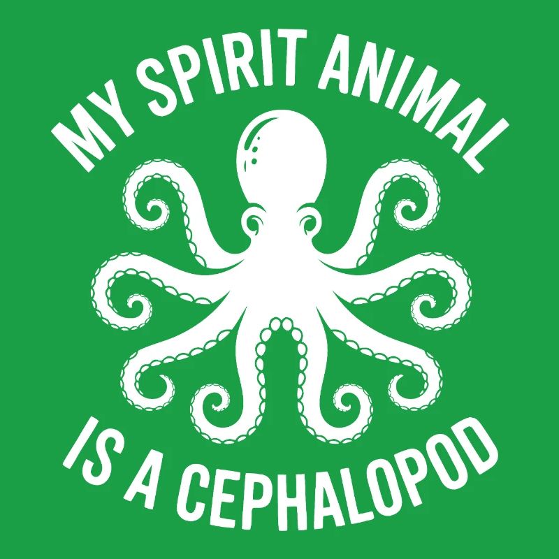 Octopus Gift Idea