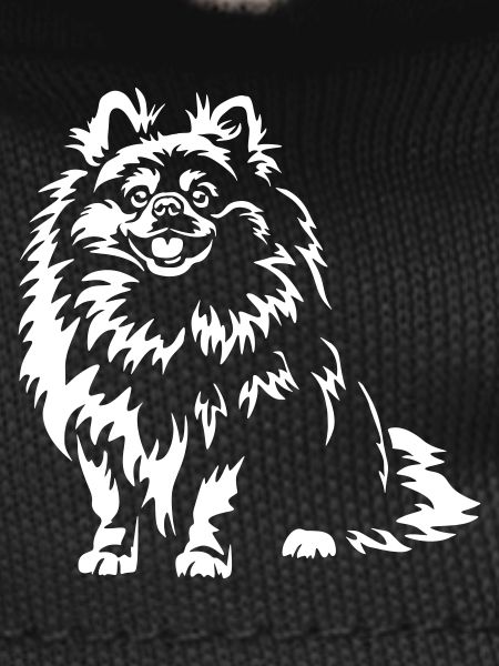 Pomeranian "Black Edition"
