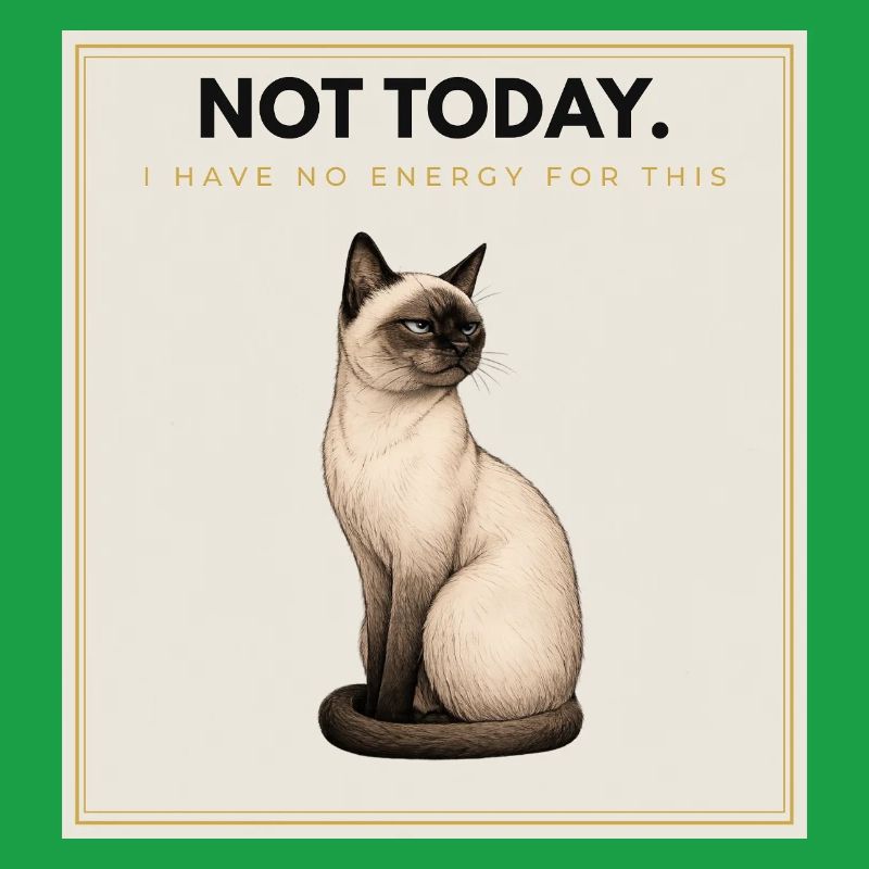 PAS AUJOURD’HUI. Noble Cat Introverti Conception du Mème