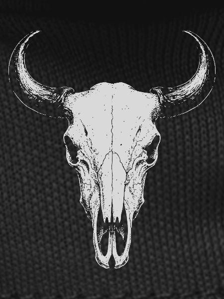 Bull Skull Horns