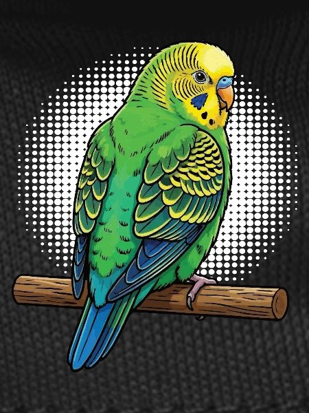 Budgerigars Budgie Owners Budgies