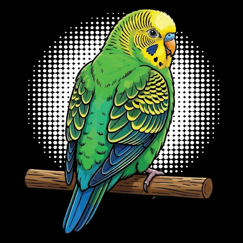 Budgerigars Budgie Owners Budgies