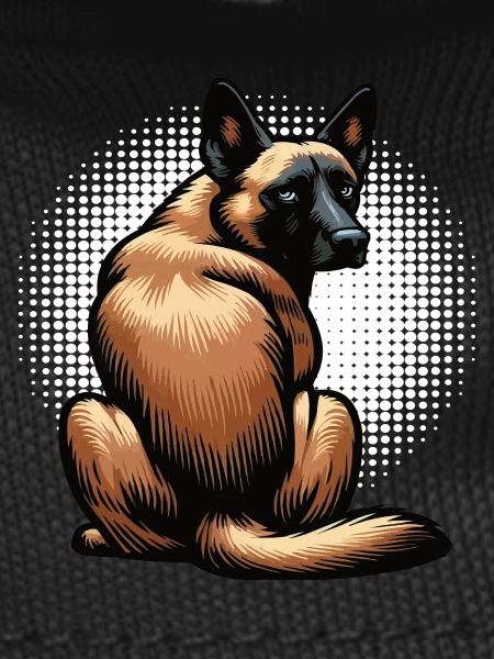 Malinois Belgian Shepherd Malinois Owner