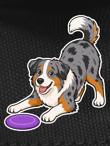 Australian Shepherd with purple Frisbee