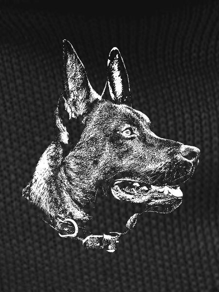 kopf Malinois