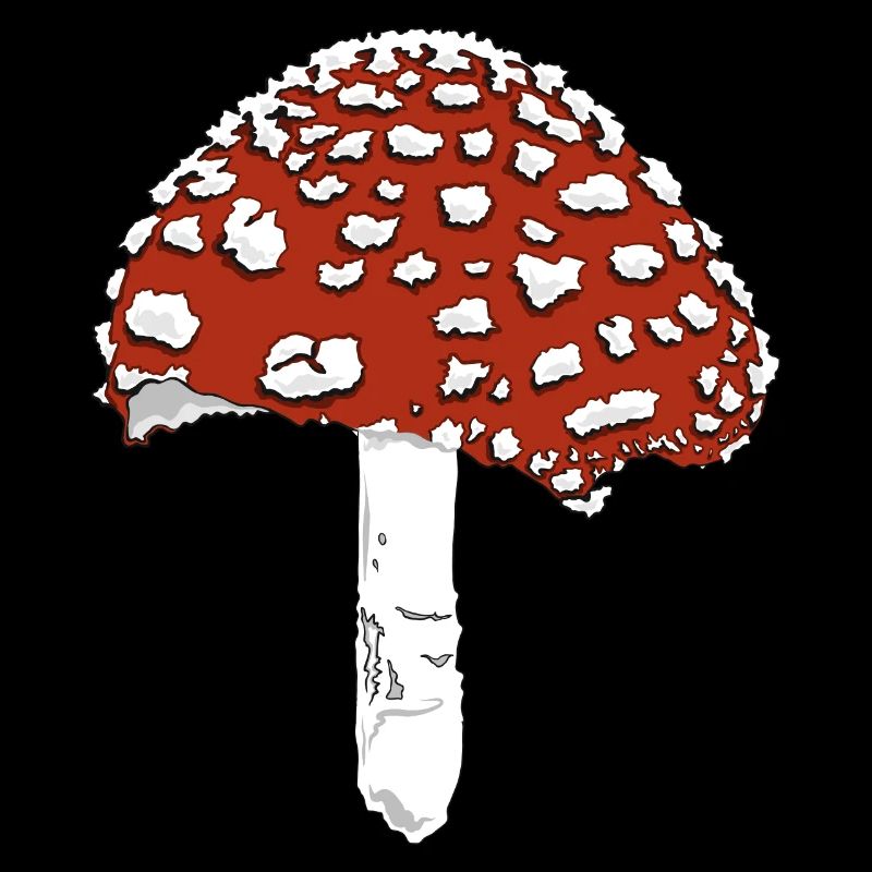 Champignon champignon amanite