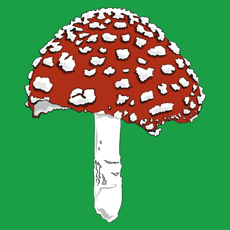 Toadstool toadstool amanita