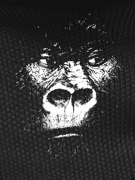 Expressionist Monkey Illustration, Gorilla