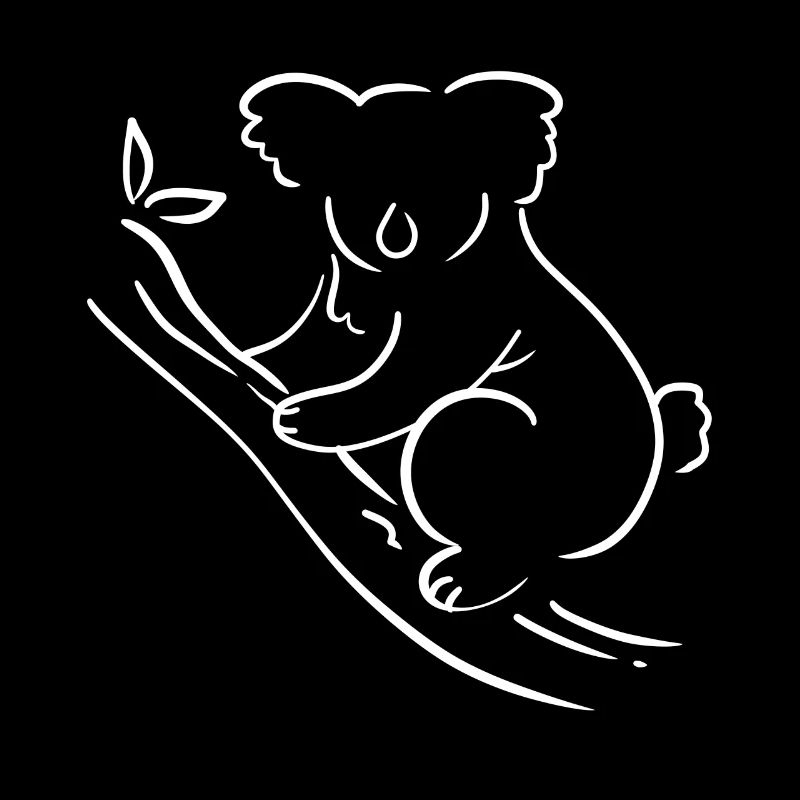 Koala Australien Australier