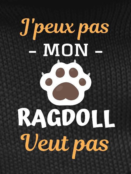 Race de chat ragdoll
