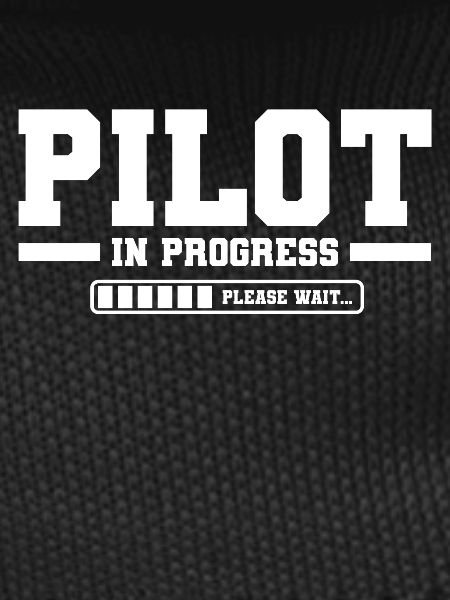 Student Pilot Flight School