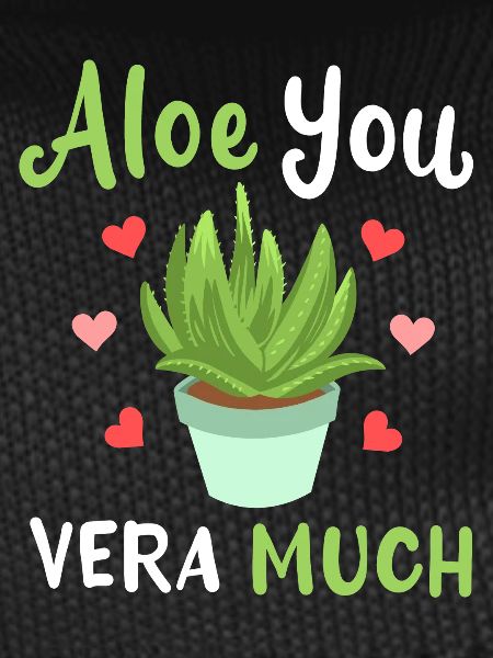 Aloe Vera Succulents