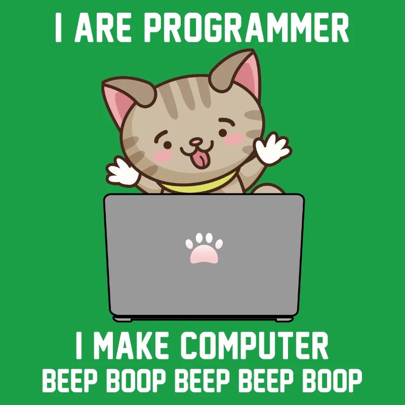 Programmer