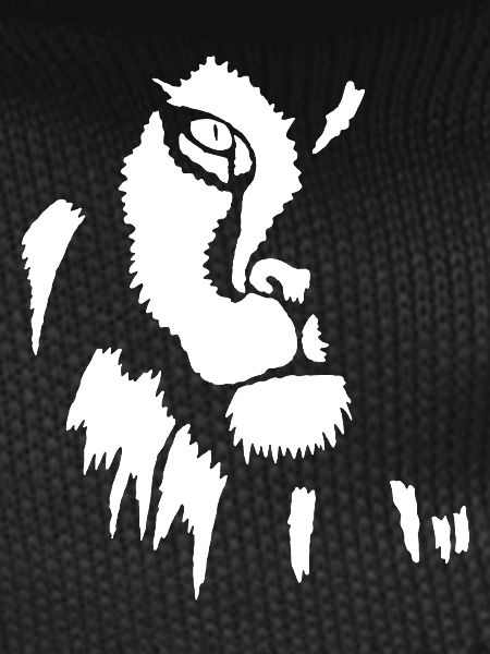 White lion in shadow