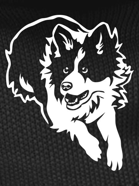 Border Collie "Black Edition"