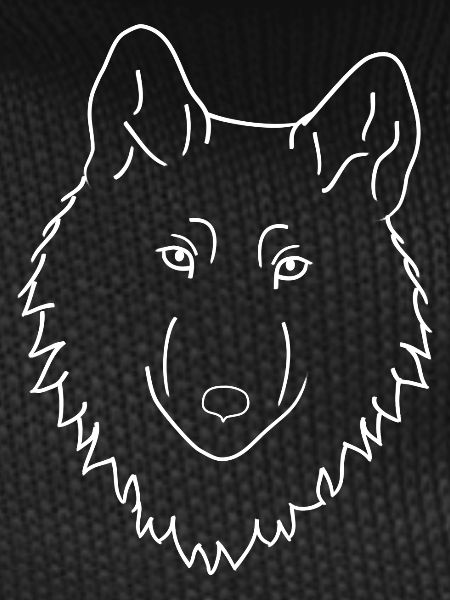 Wolf - white