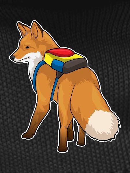 Fox Student Backpack School