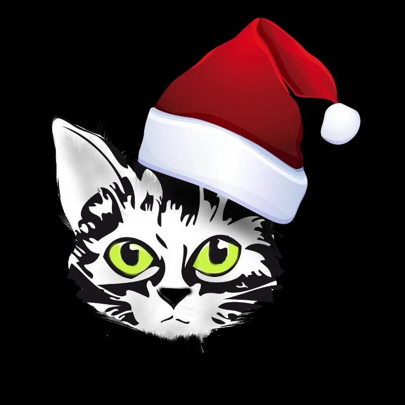chat noël noël père noël chat mignon mignon lol