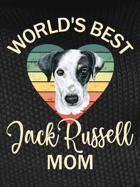 Dog Jack Russell Terrier