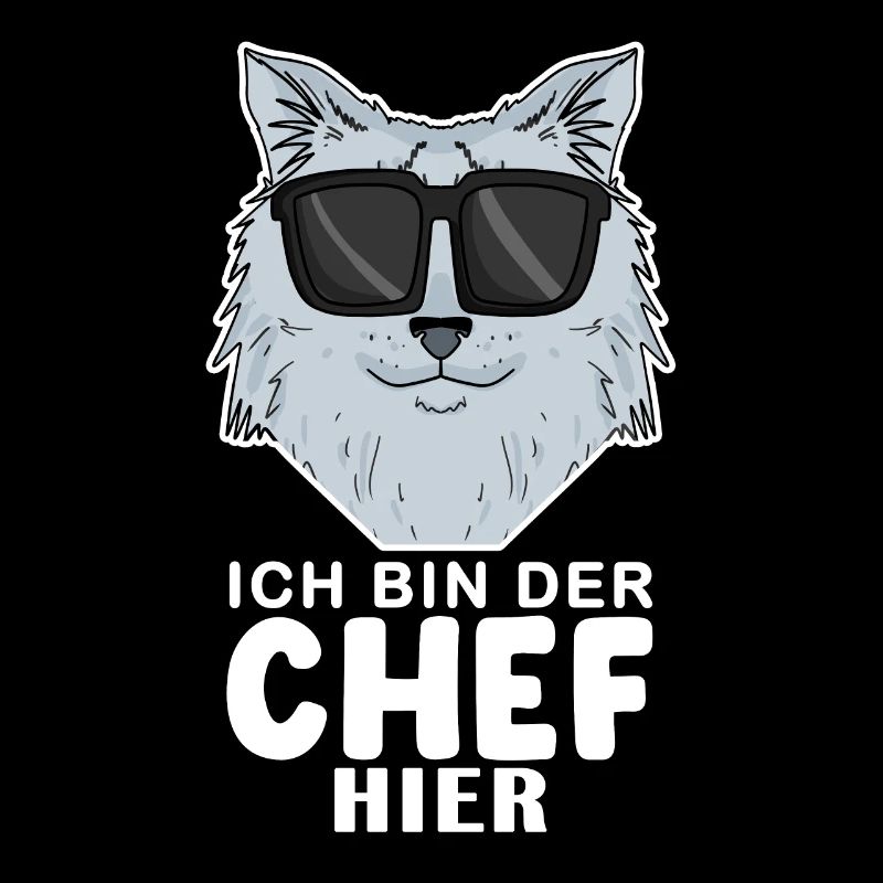 coole Katze - Sibirische Katze - Chef Spruch