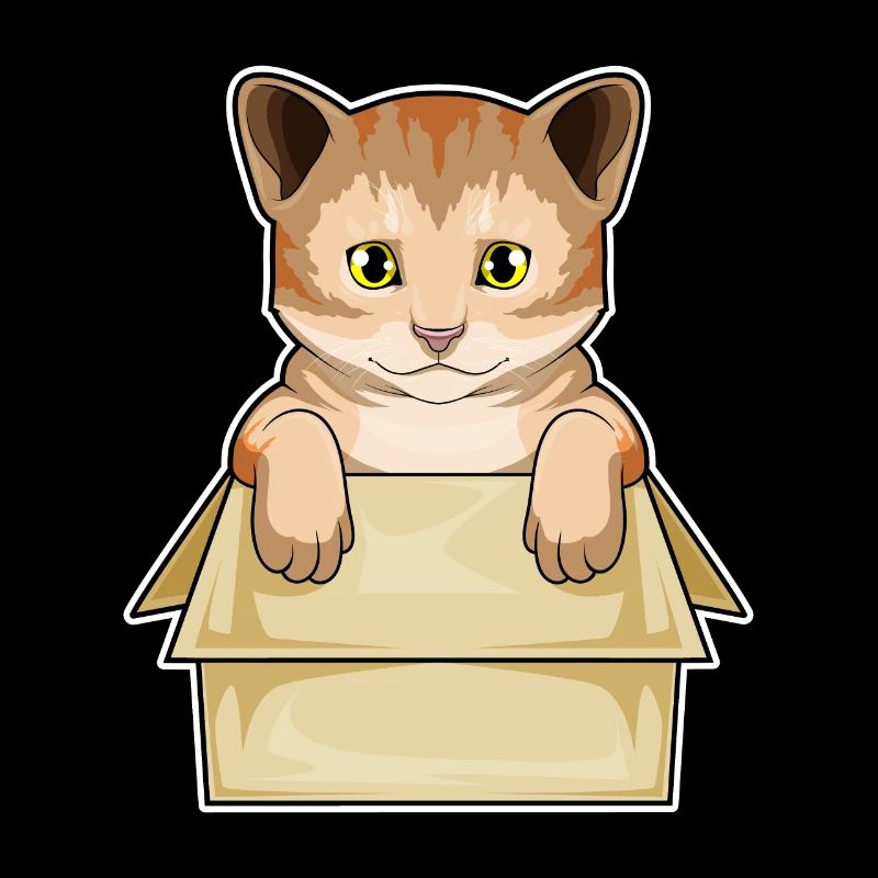 Cat Box