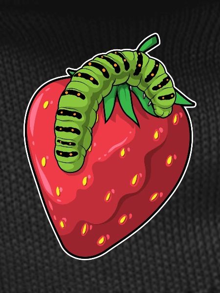 Fraise chenille