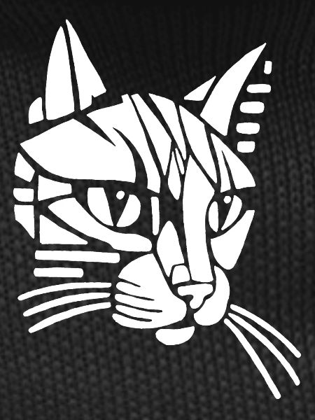 White tribal cat