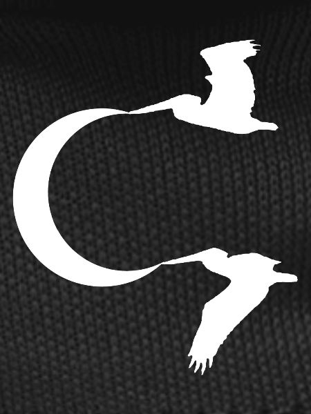 Birds and the Moon