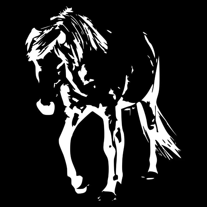 cheval blanc cheval blanc t-shirt cadeau cavalier