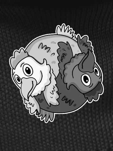 Yin Yang Chicken Chicken