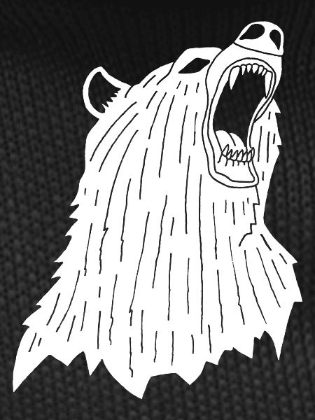 Angry Polar Bear