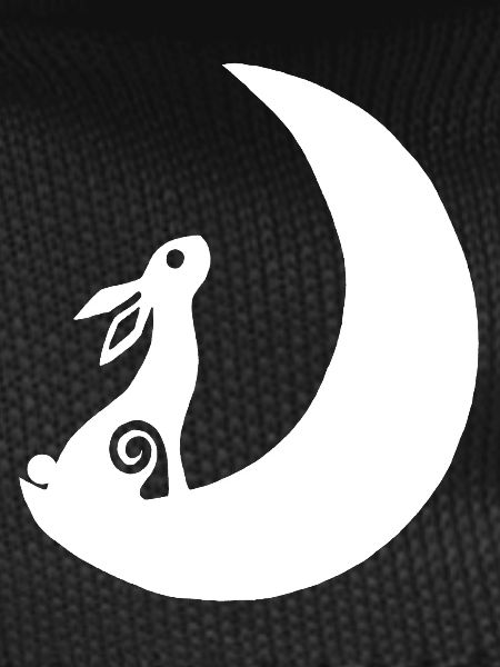 A rabbit on the moon