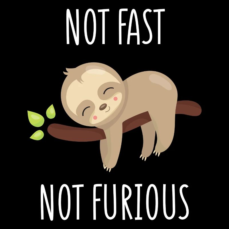 Not Fast, Not Furious