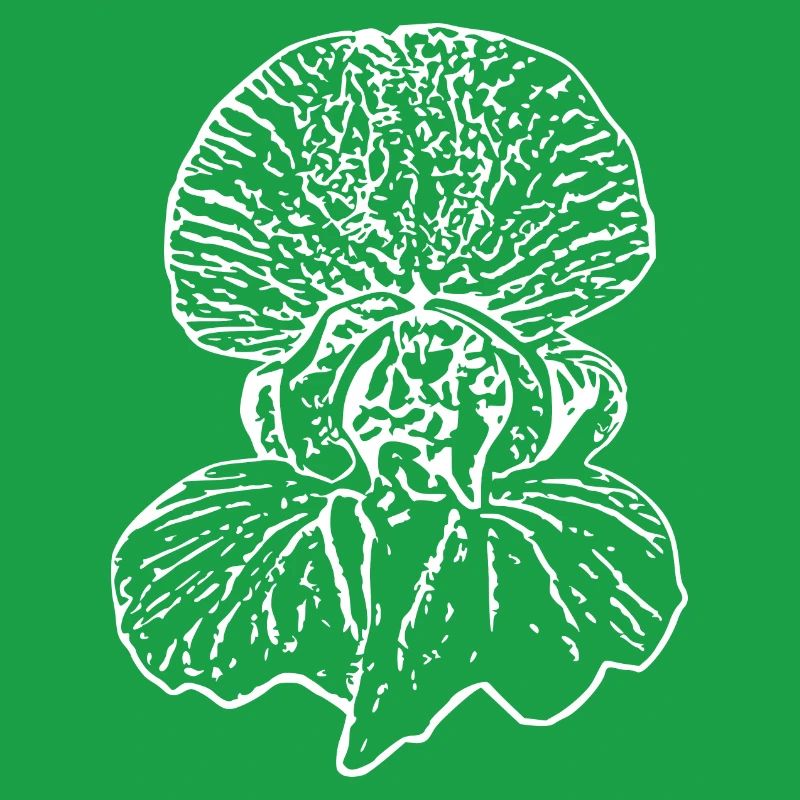 Muttertags Geschenk Mutter Muttertag Geschenkidee 