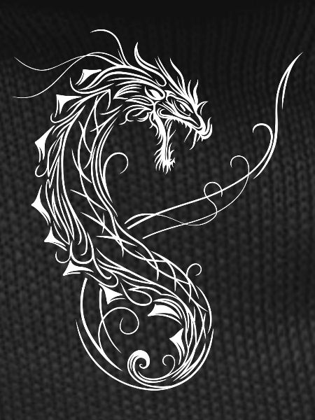 Dragon Fantasy Fire Dragon