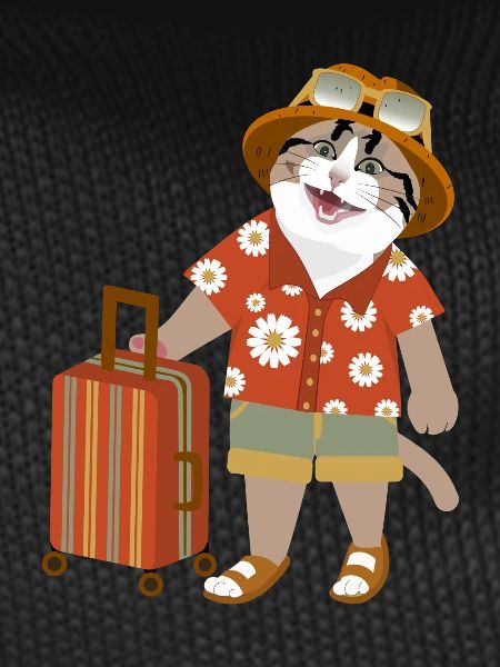 cat traveling mood