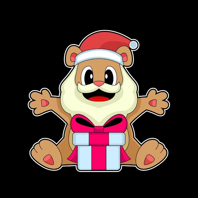 Bear Christmas Package