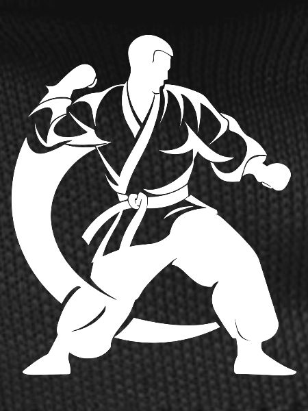 Karateka Drawing