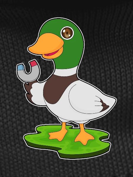 Duck Magnet