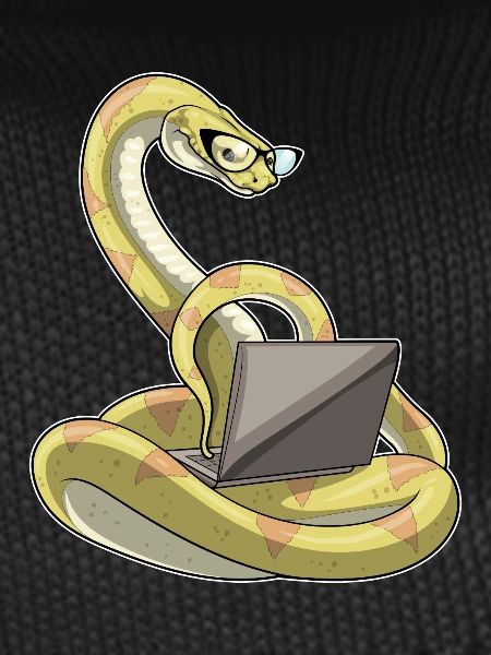 Snake Laptop