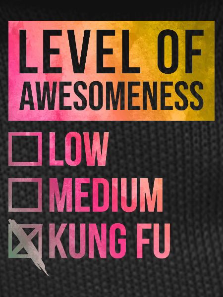 Kung Fu Kung Fu Kung Fu
