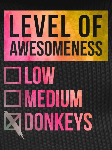 Donkey Donkey Donkey