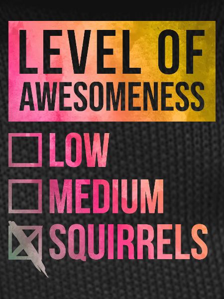 Squirrel Squirrel Squirrel