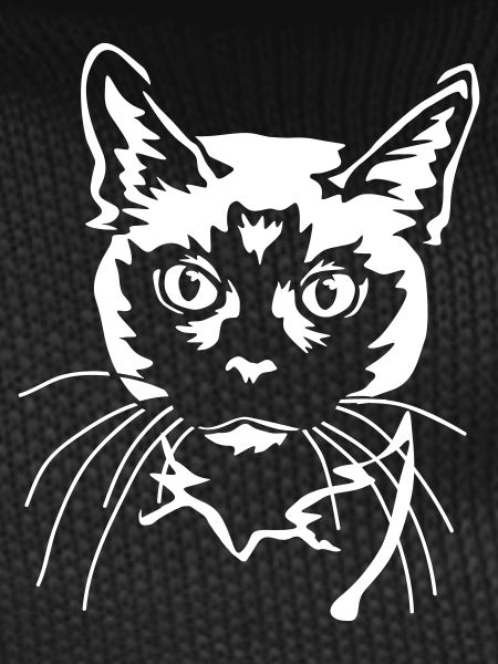 Siamese Cat "Black Edition"