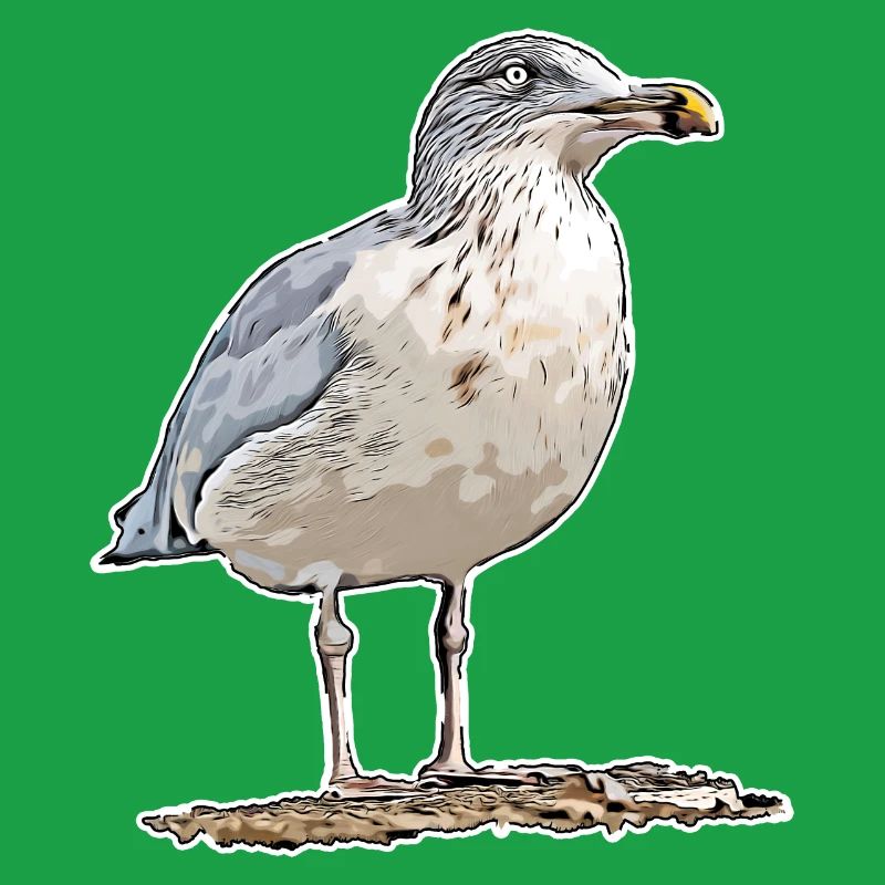 Gull