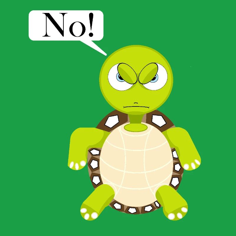 Statement No Turtle, No Fun Comic, No
