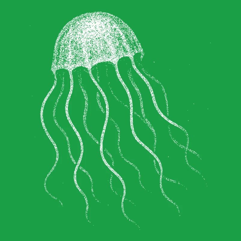 Jellyfish