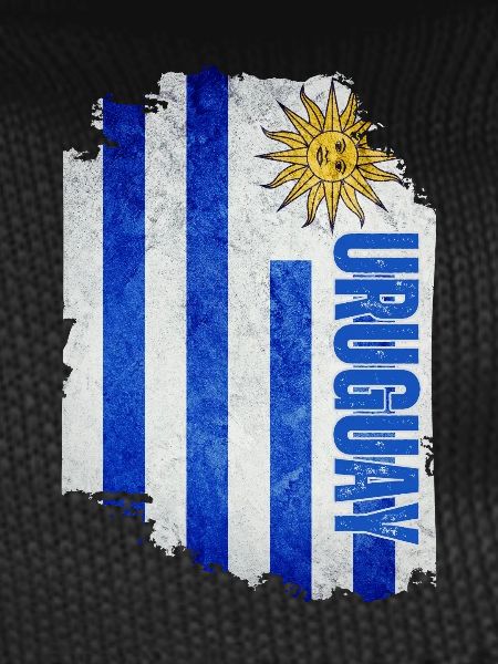 Vertical Uruguay flag, Uruguayan pride