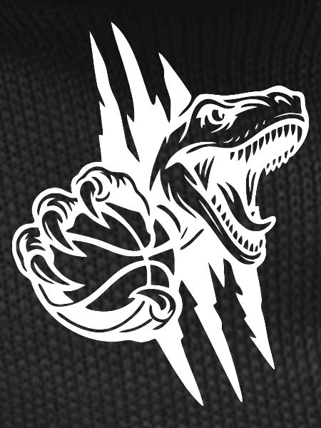 Roaring Raptor Basketball