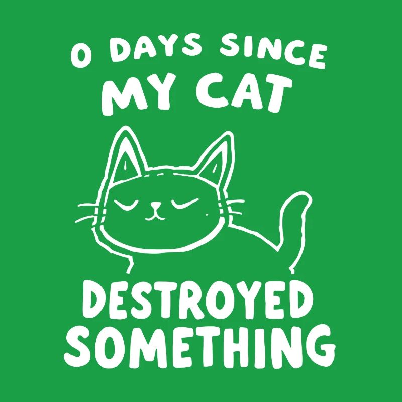 0 Days Since My Cat Destroyed Something Fun